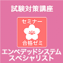 合格ゼミ　午後対策　直前対策