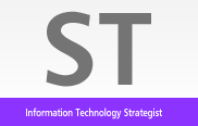 ITストラテジスト,ST