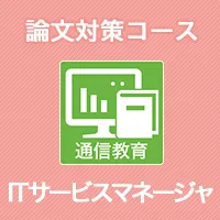 論文対策コース