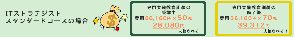 ITストラテジストスタンダードコースの支給額