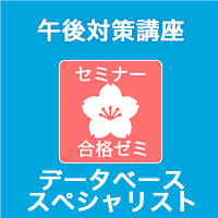 21 データベーススペシャリスト 合格ゼミ 午後対策講座 It資格試験の取得 It人材育成は株式会社アイテック Itec