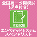 2025 エンベデッドシステムスペシャリスト 全国統一公開模試 (採点付)