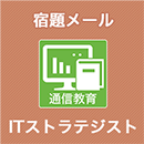 2024 ITストラテジスト 宿題メール