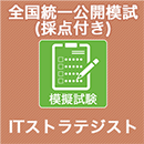 2024 ITストラテジスト 全国統一公開模試 (採点付)