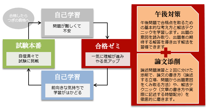 試験対策セミナー,合格ゼミ,システム監査技術者,概要