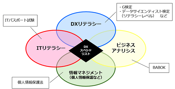 「ITリテラシー」「DXリテラシー」「ビジネスアナリシス」「情報マネジメント(個人情報保護など)」の4つの領域